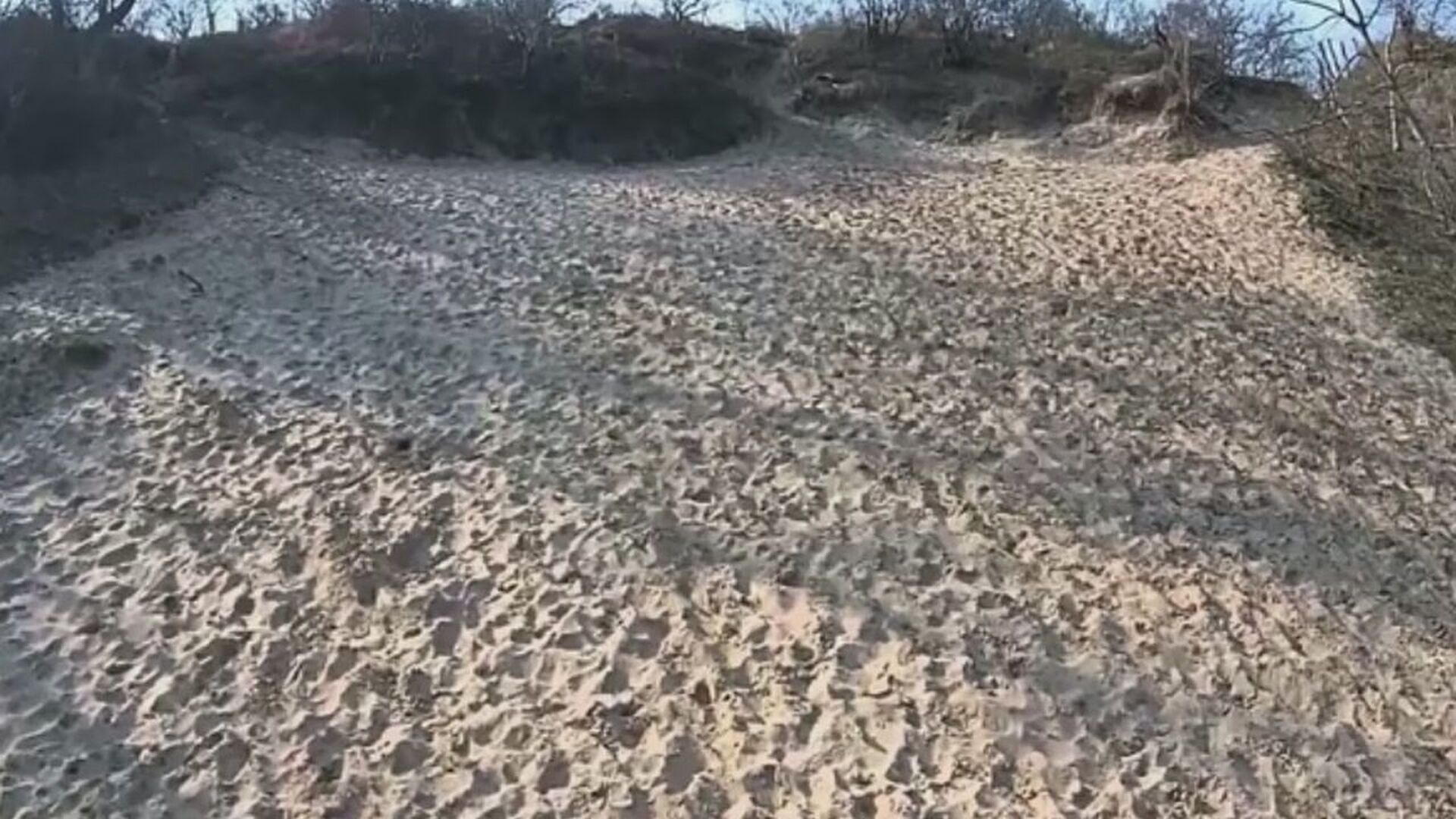 Foto: Duinen zand.jpg